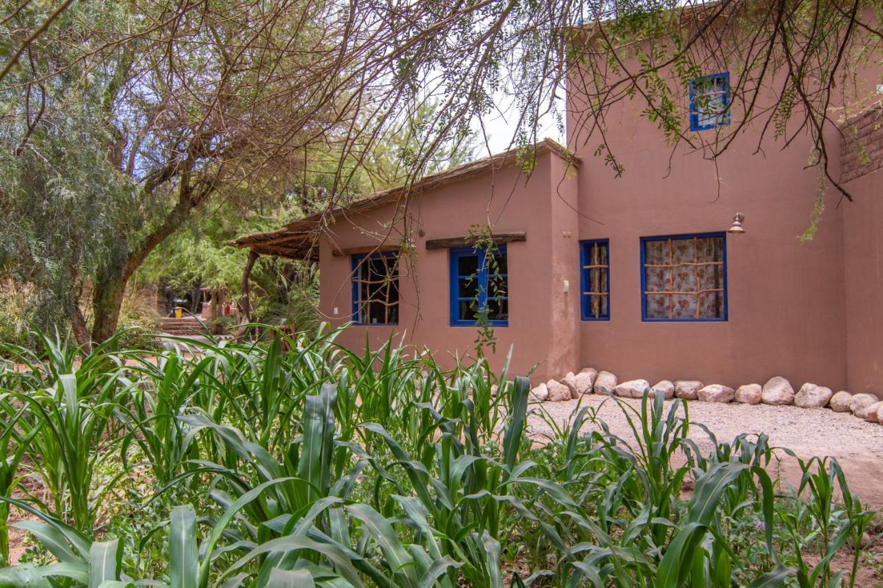Ckoi Atacama Lodge San Pedro de Atacama Bagian luar foto